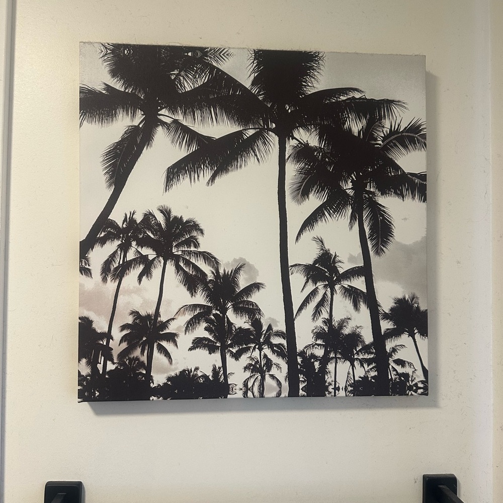 Black and white Palm Tree Canvas Art - Picture 2 of 2